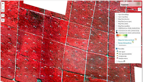 Composição infravermelho CBERS e parcelas de amostragem em aplicação web mapping